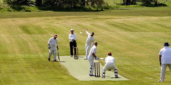 People playing a cricket match